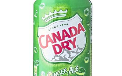 Ginger Ale (Can) – Bombay Grill Milton Ginger Ale (Can) - Bombay Grill Milton