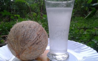 Tender_coconut_water Tender_coconut_water